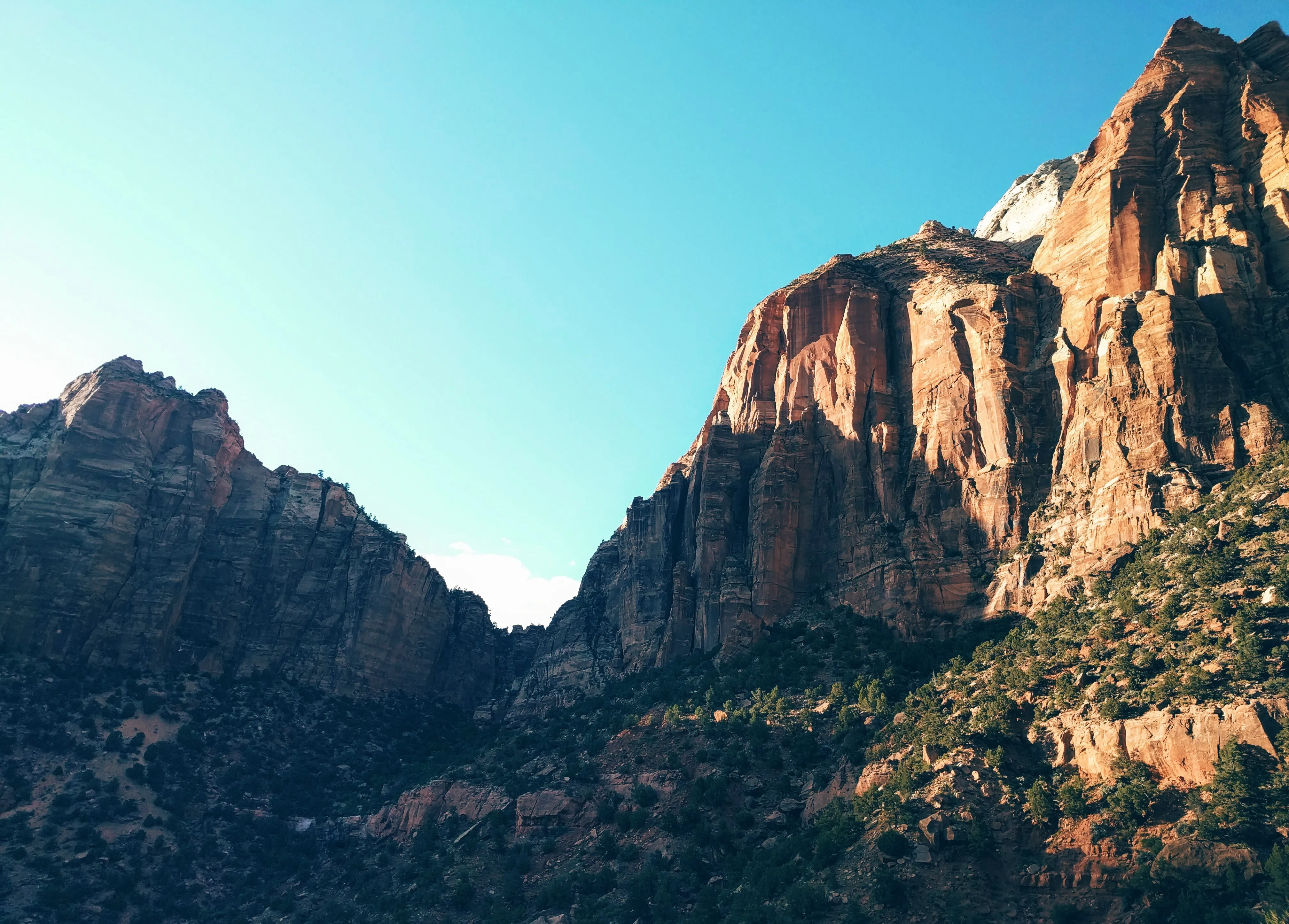 Zion National Park (2016)